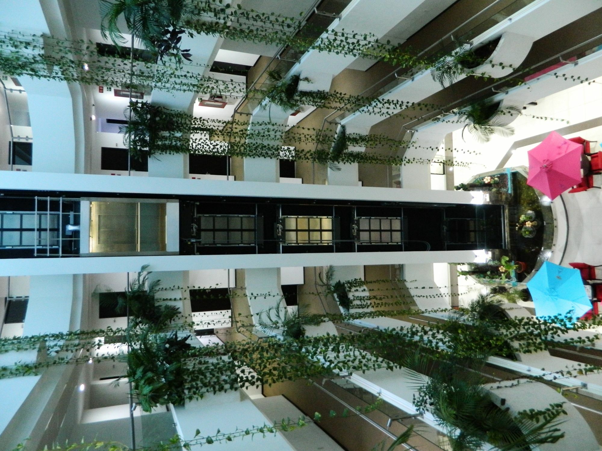 Paris Fc Hotel Poza Rica ภายนอก รูปภาพ